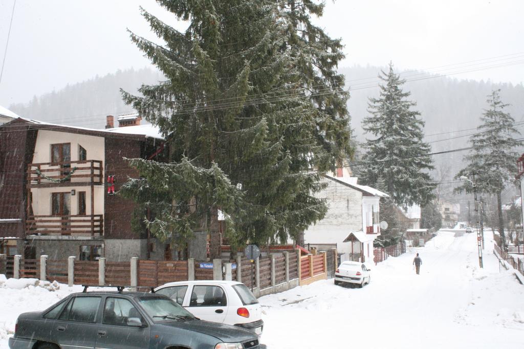 La Buni Buşteni Rom bilde